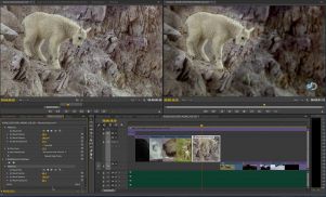 Adobe Reveals Next Wave of Innovation for Creative Cloud Video Apps at NAB 13