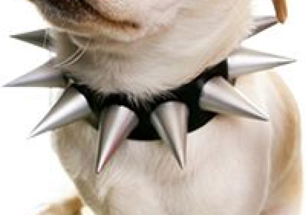 iStock_000002717937_Small.png