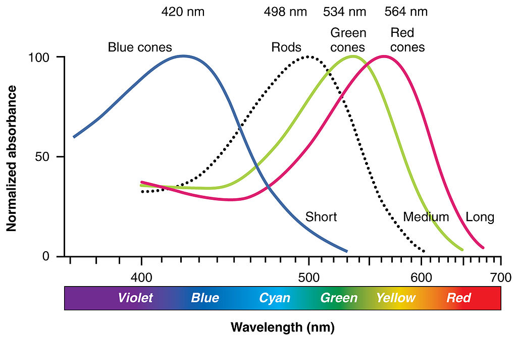 5 Color Illusions that Colorists & filmmakers should be familiar with 13