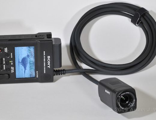 Review: Sony HXR-MC1 1-CMOS AVCHD POV Camcorder 2
