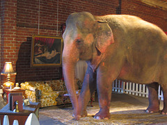 Elephant in the room, part deux.
