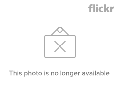 2527086593_bda9a13333_m.png