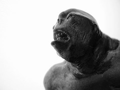 Cave troll contemplates God, financial accounting 2789916201_5db3e21484_m-7827504