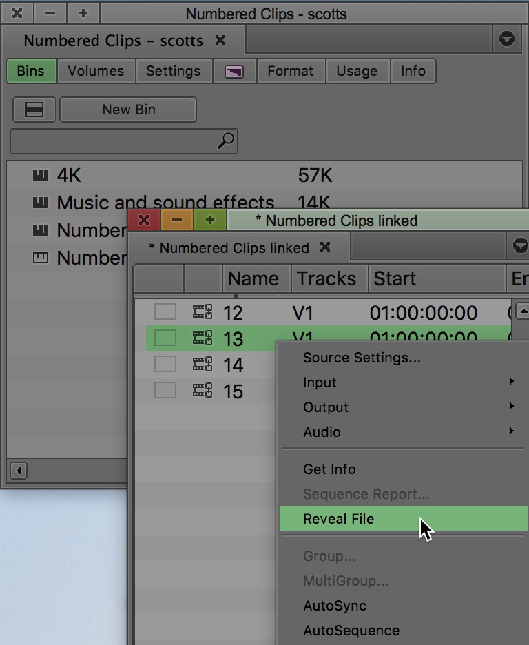Avid Media Composer reveal file linked