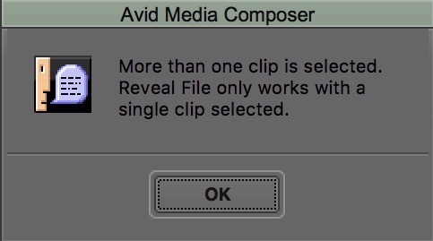 Avid Media Composer reveal file only one