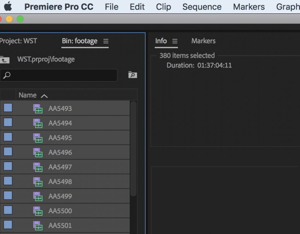 Adobe Premiere Pro Info duration