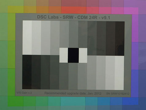 CAMERAS: More Thoughts on Canon's Color Science, This Time with Pictures 11
