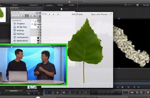 Creating Custom Paint Brushes in Motion 5