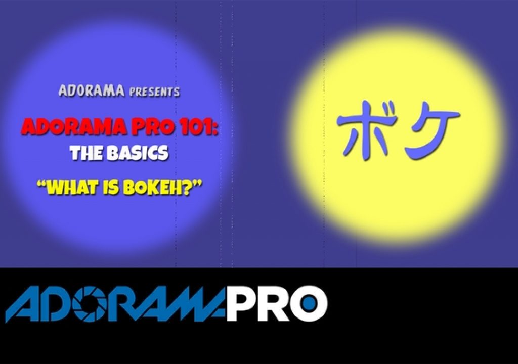 Adorama Pro 101: The Basics - What is Bokeh? 1