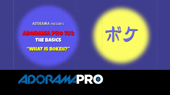 Adorama Pro 101: The Basics - What is Bokeh? 3