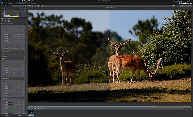 Mercalli V5 Suite for EDIUS: now with real-time video stabilization 15