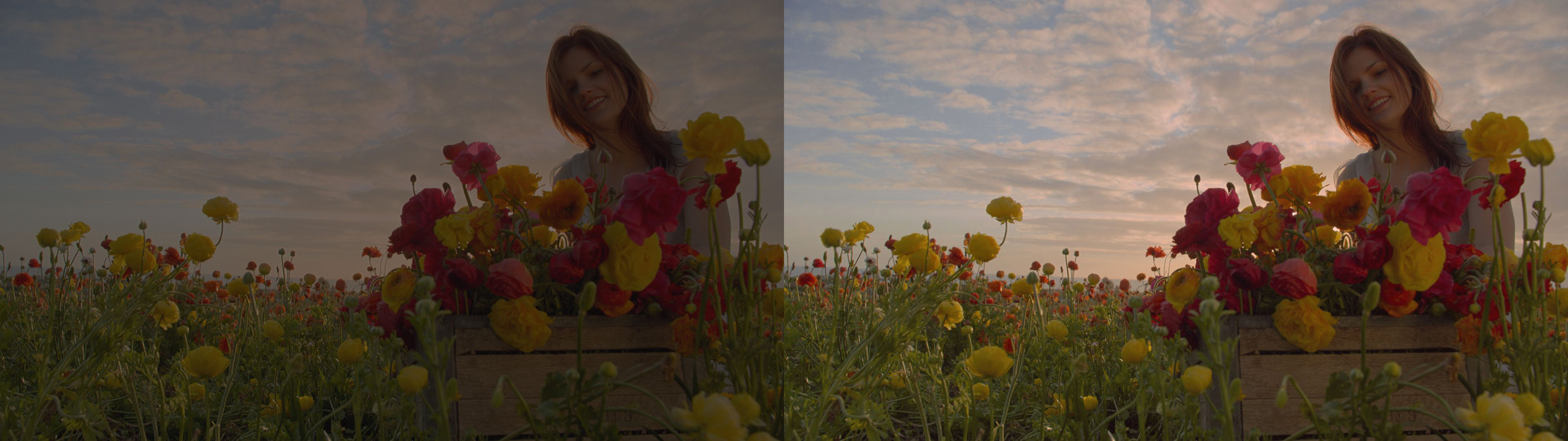 Dolby Gives Us Improvements to Visual and Audio Experiences That Make a Difference 24