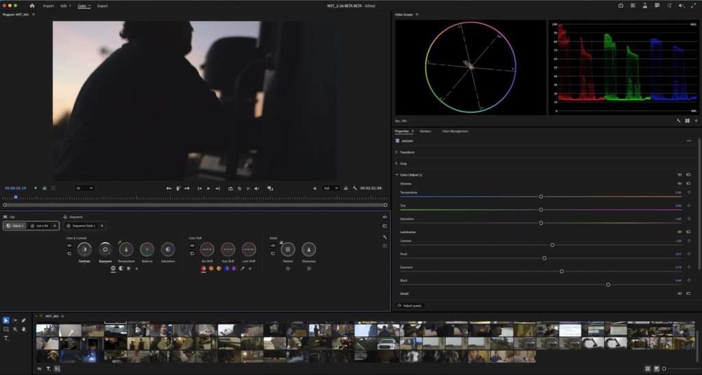 Burning Questions about Adobe Premiere Beta's new dedicated Color Mode 9
