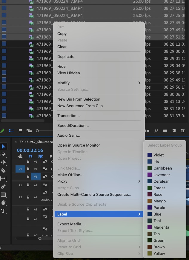 Adobe Premiere Pro (Beta) updates Labels. Editors rejoice. 45