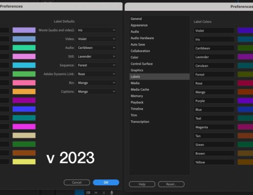 Understanding the new label color and icons in the 2024 Adobe Premiere Pro update 2