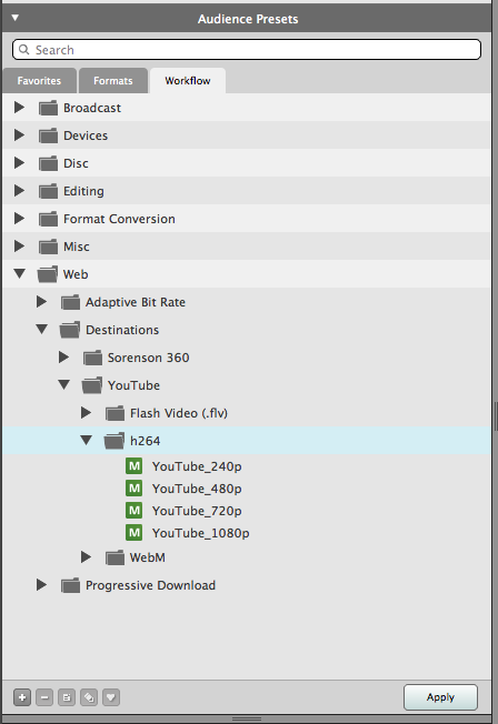 Audience Presets - Workflow