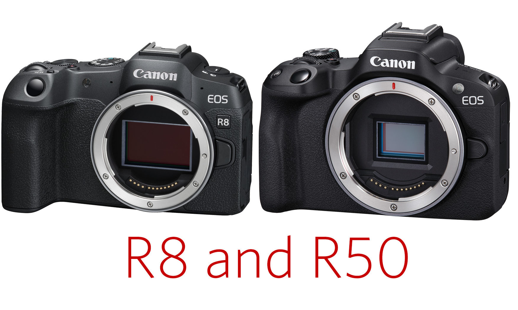 Canon R8 and R50