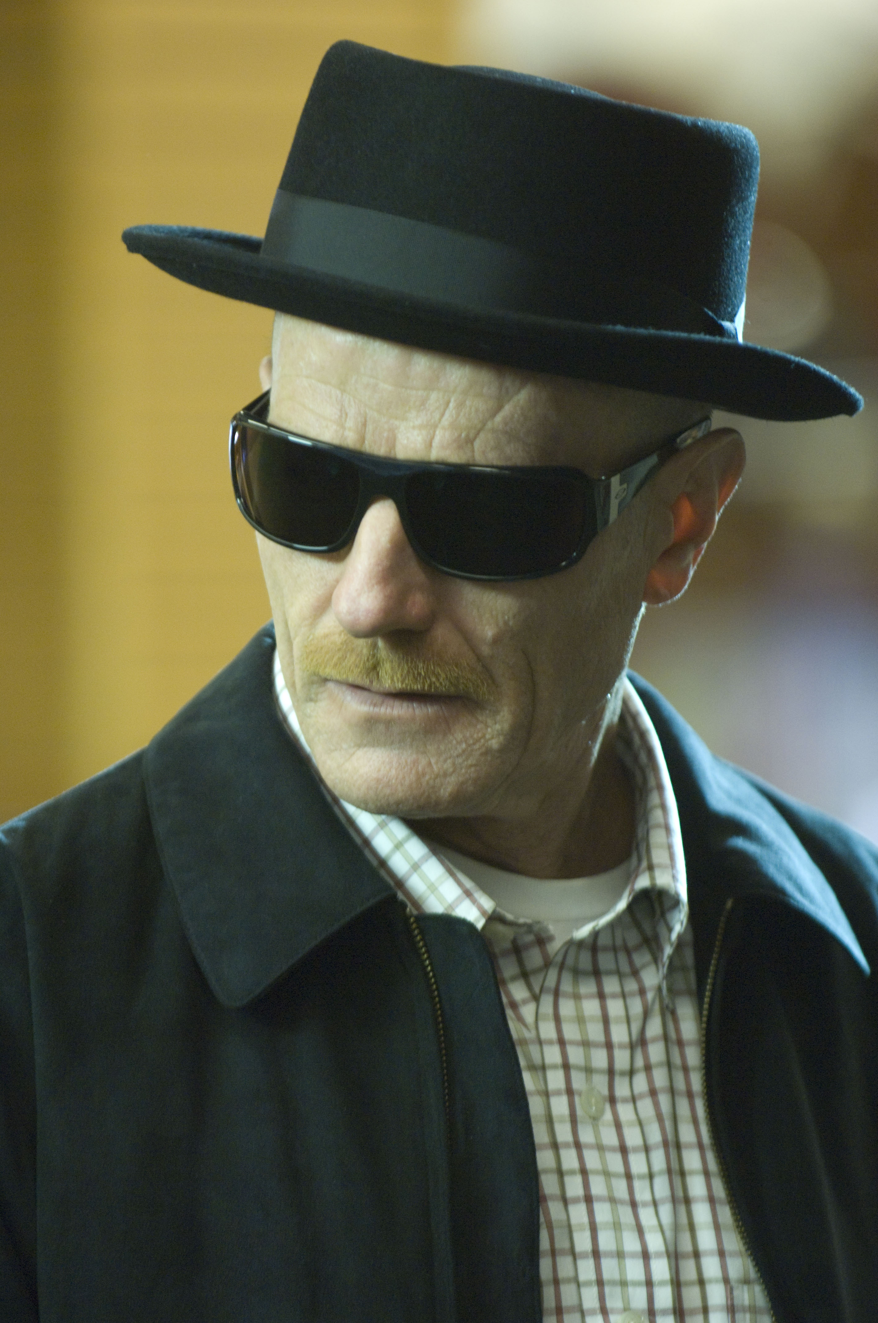 Walter White (Bryan Cranston) - Breaking Bad - Season 2, Episode 7 - Photo Credit: Lewis Jacobs/AMC