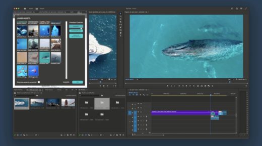 Celtx launches Screenplay Plugin for Adobe Premiere Pro to integrate ...