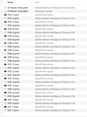 Tool Tip Tuesday for Adobe Premiere Pro: Background Media Analysis via Adobe Media Encoder 13 Tool Tip Tuesday for Adobe Premiere Pro: Background Media Analysis via Adobe Media Encoder 13