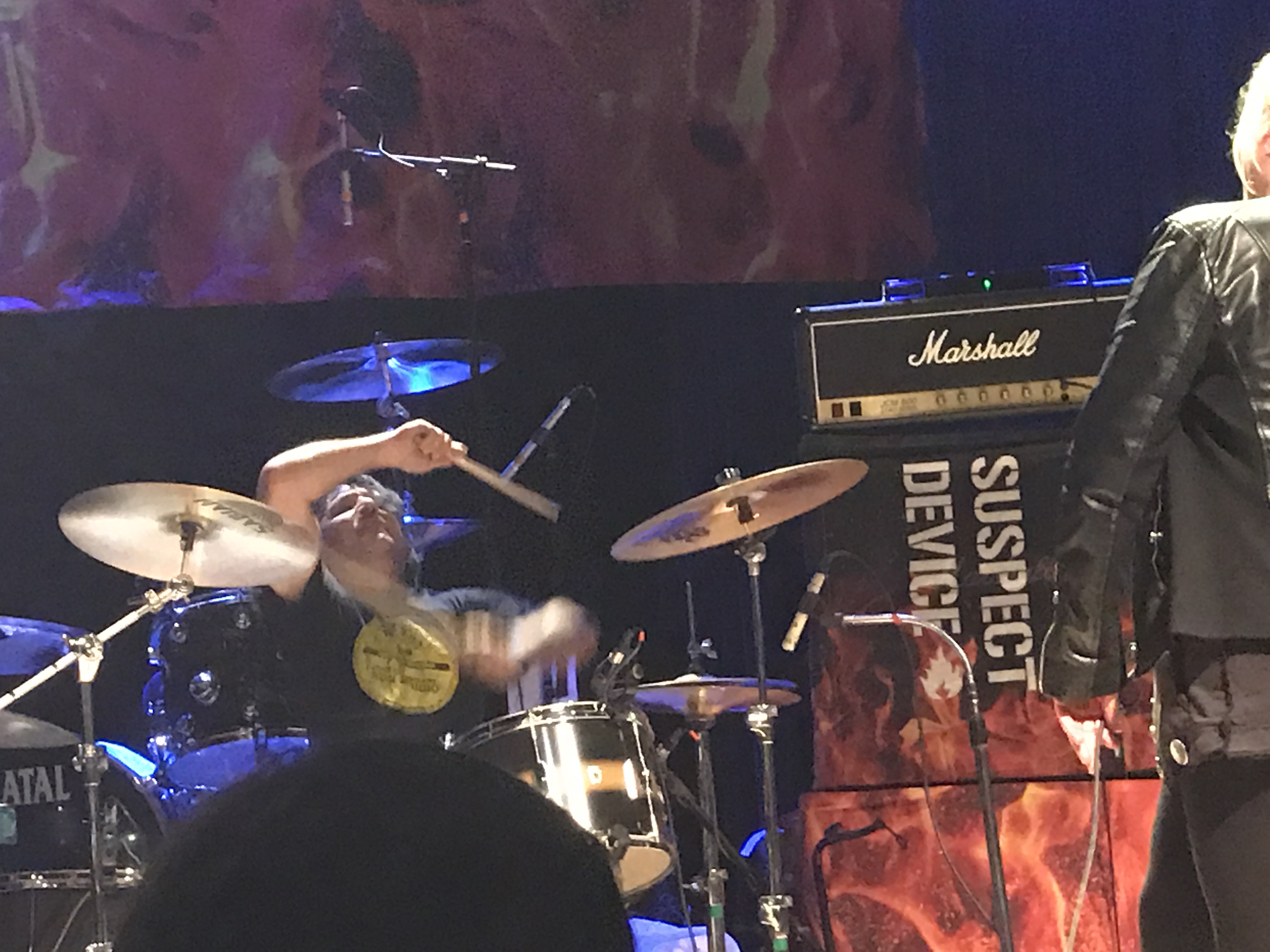 David On Tour with San Francisco's The Avengers in 2019