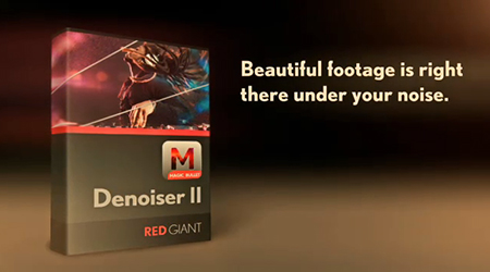 DenoiserII-450.jpg