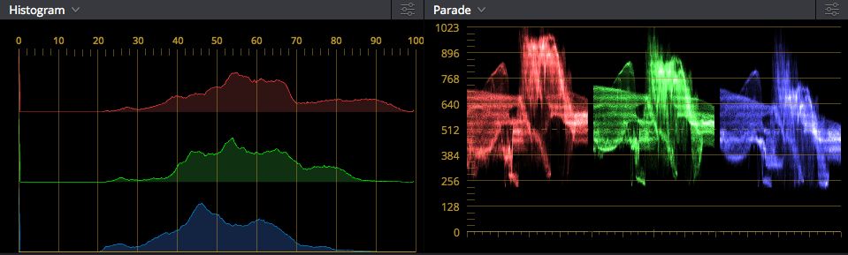 And these are the video scopes on that same image.