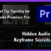 Tool Tip Tuesday for Adobe Premiere: Hidden Audio Keyframes secrets 6