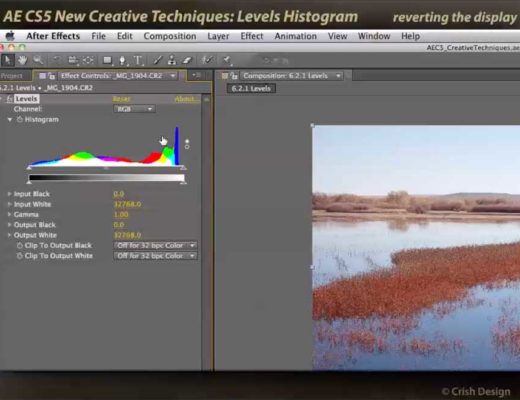 Color Histogram in After Effects Levels