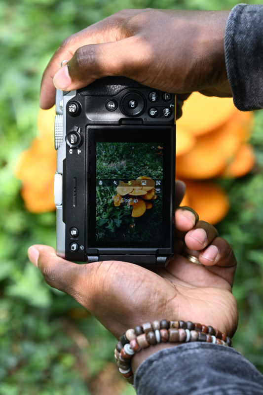 NIKON Releases The New Z5IIC Mirrorless Camera 27 Nikon Z5IIC