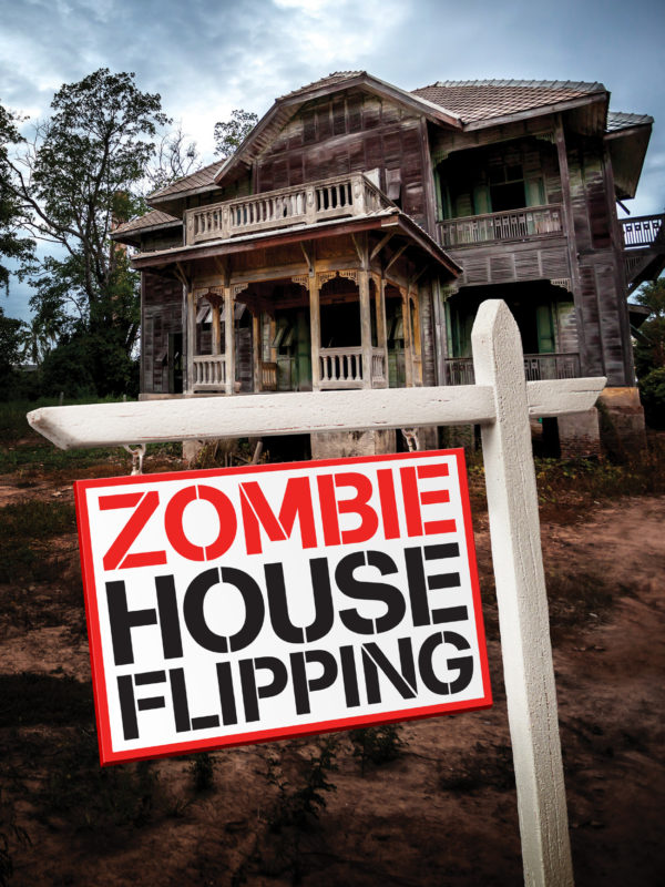 art of the frame podcast with zombie house flipping editors