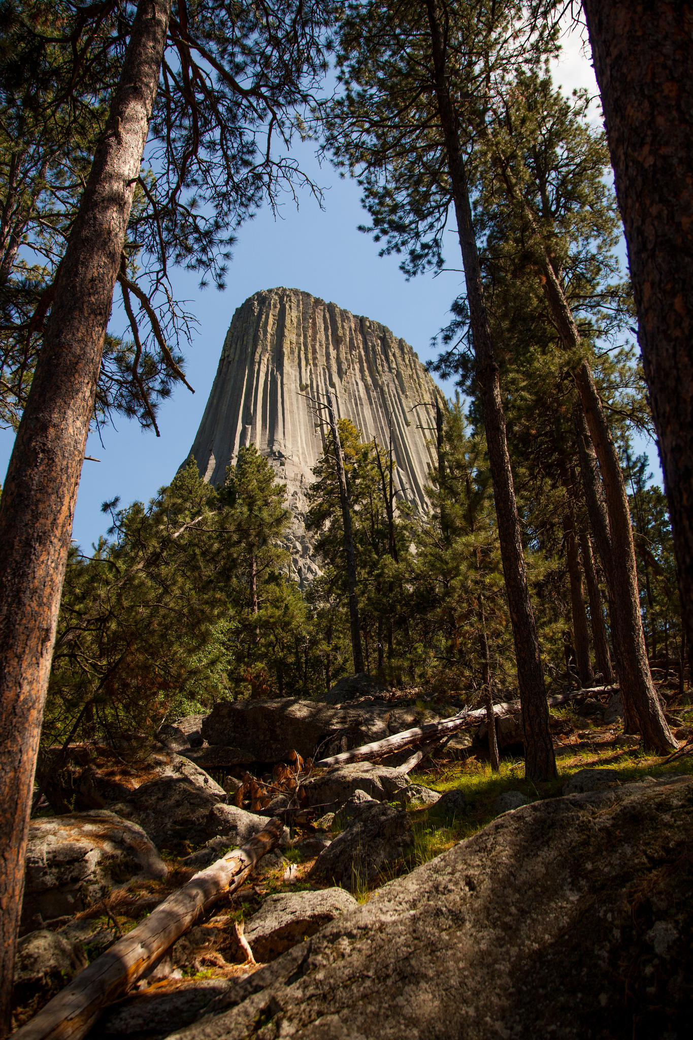 Mellish Devils Tower