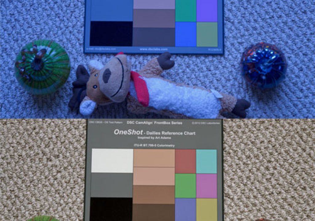 CAMERAS: Rough Guide to Color Grading with the DSC Labs OneShot 5