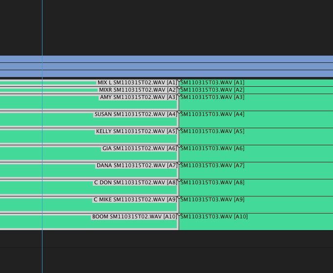 Adobe and Avid need to support iXML metadata for audio channels in the timeline 13