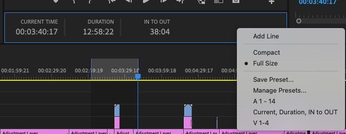 My single most loved feature in Adobe Premiere Pro 16