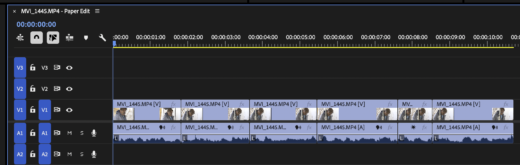 Tool Tip Tuesday for Adobe Premiere: Grab the best Moments in the Transcript Panel with Paper Edit 16