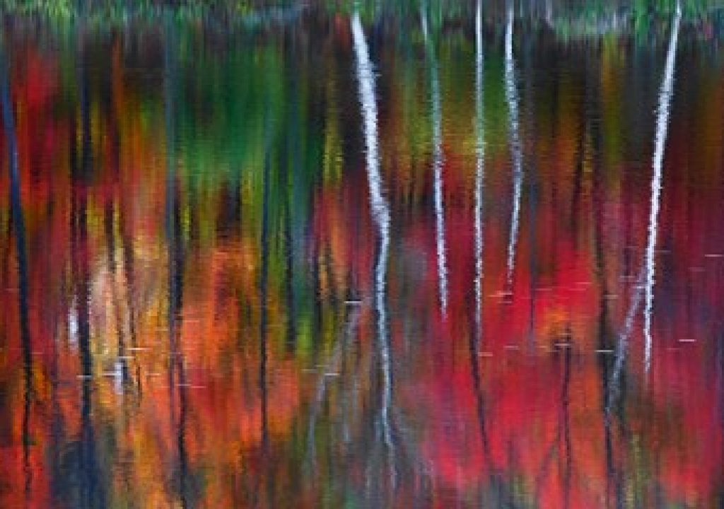 PeterLik_thumb.jpg