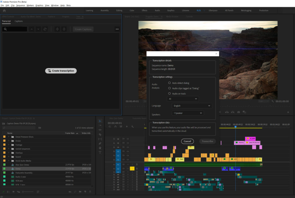 Adobe Premiere Pro transcriptions