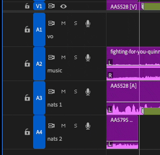 Tool Tip Tuesday for Adobe Premiere Pro: See Track Names at Minimized Track Height 15