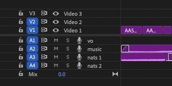 Tool Tip Tuesday for Adobe Premiere Pro: See Track Names at Minimized Track Height 19