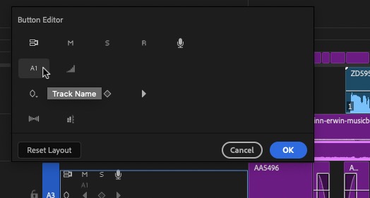 Tool Tip Tuesday for Adobe Premiere Pro: See Track Names at Minimized Track Height 17