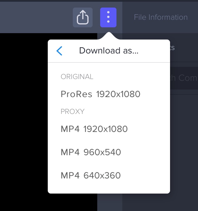 Downloading files on Frame.io