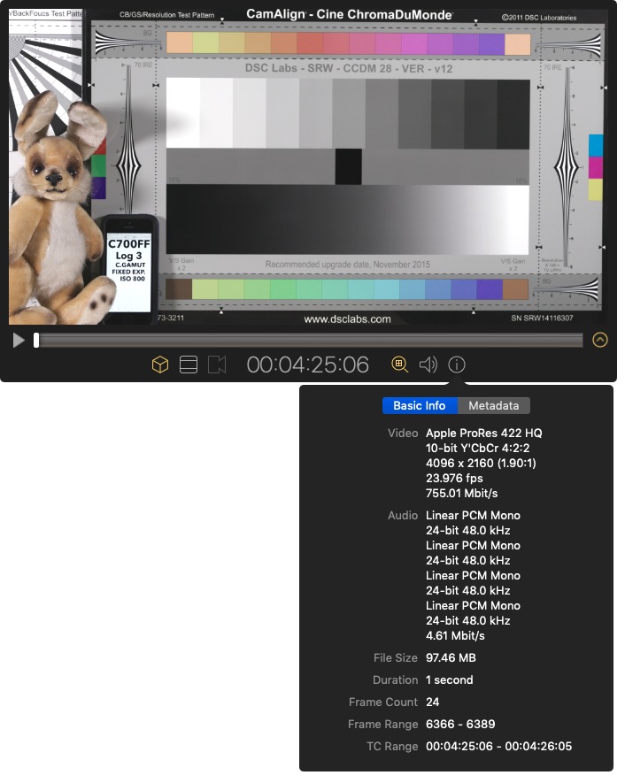 Screen viewer showing Basic Info