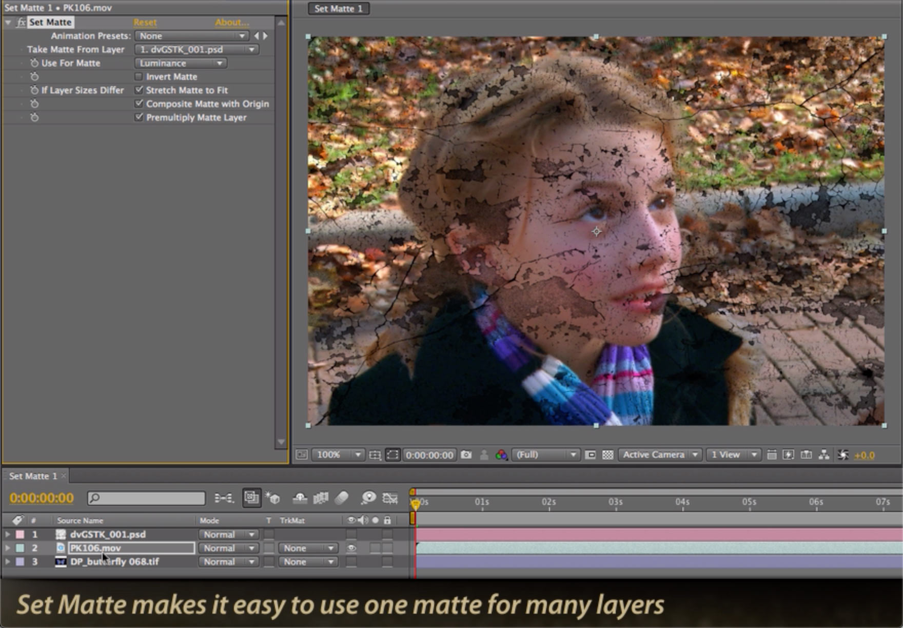 After Effects Classic Course: Set Matte versus Track Matte by Chris and Trish Meyer - ProVideo Coalition