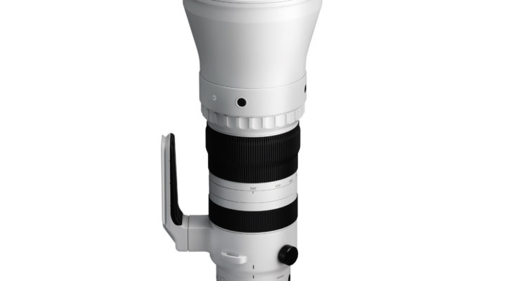 Sigma 300-600mm