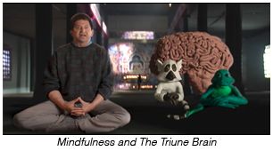 Mindfulness and The Triune Brain