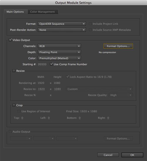 AE Render to EXR Output Module settings