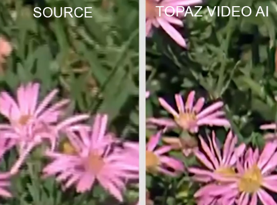 Topaz Video AI v3.0 released 1