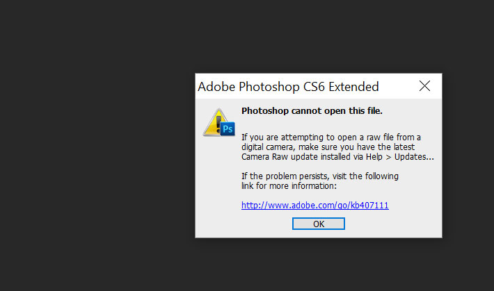 Adobe Bridge as a DAM