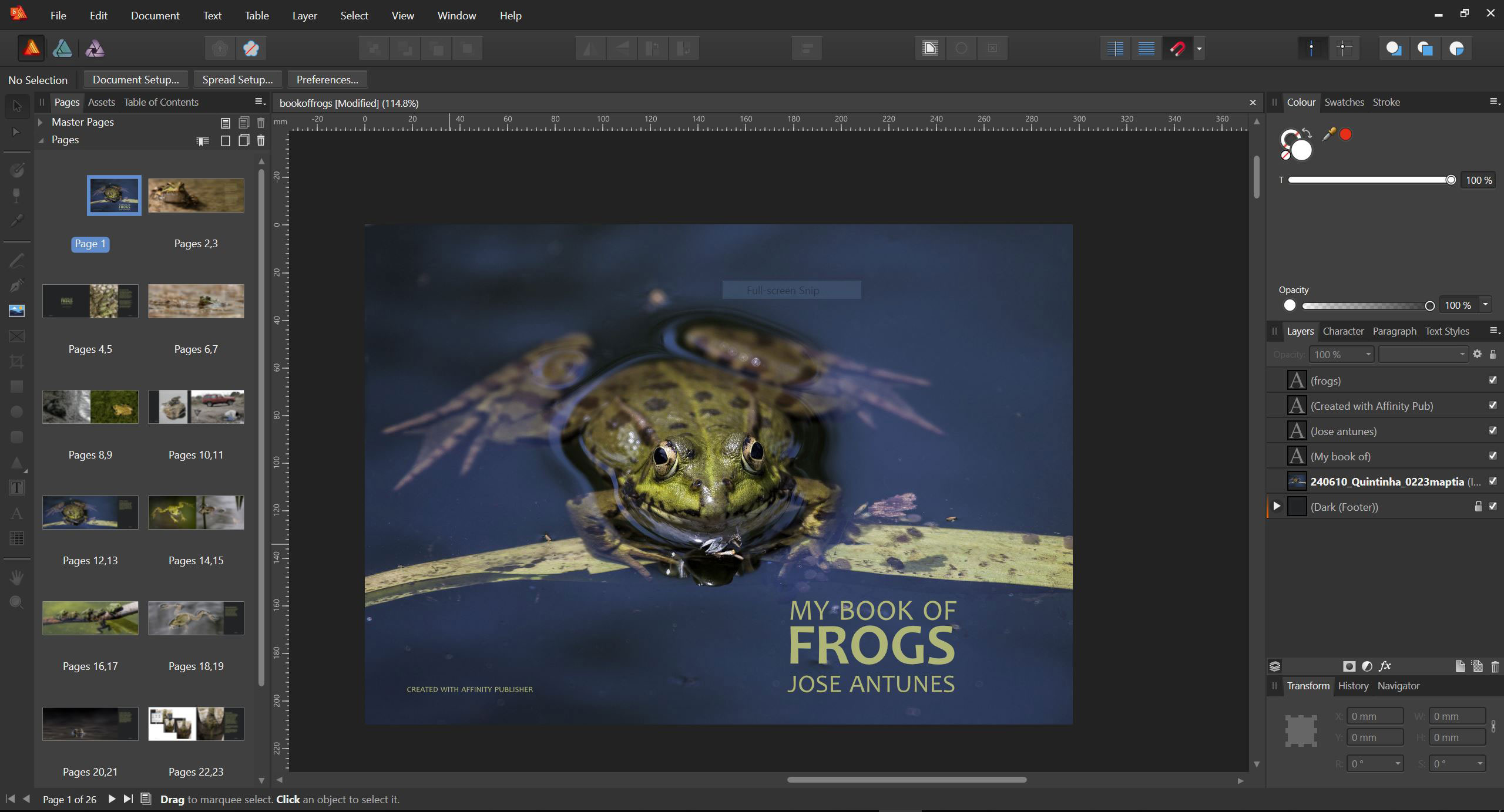 Affinity Publisher is coming: an affordable desktop publishing app 33